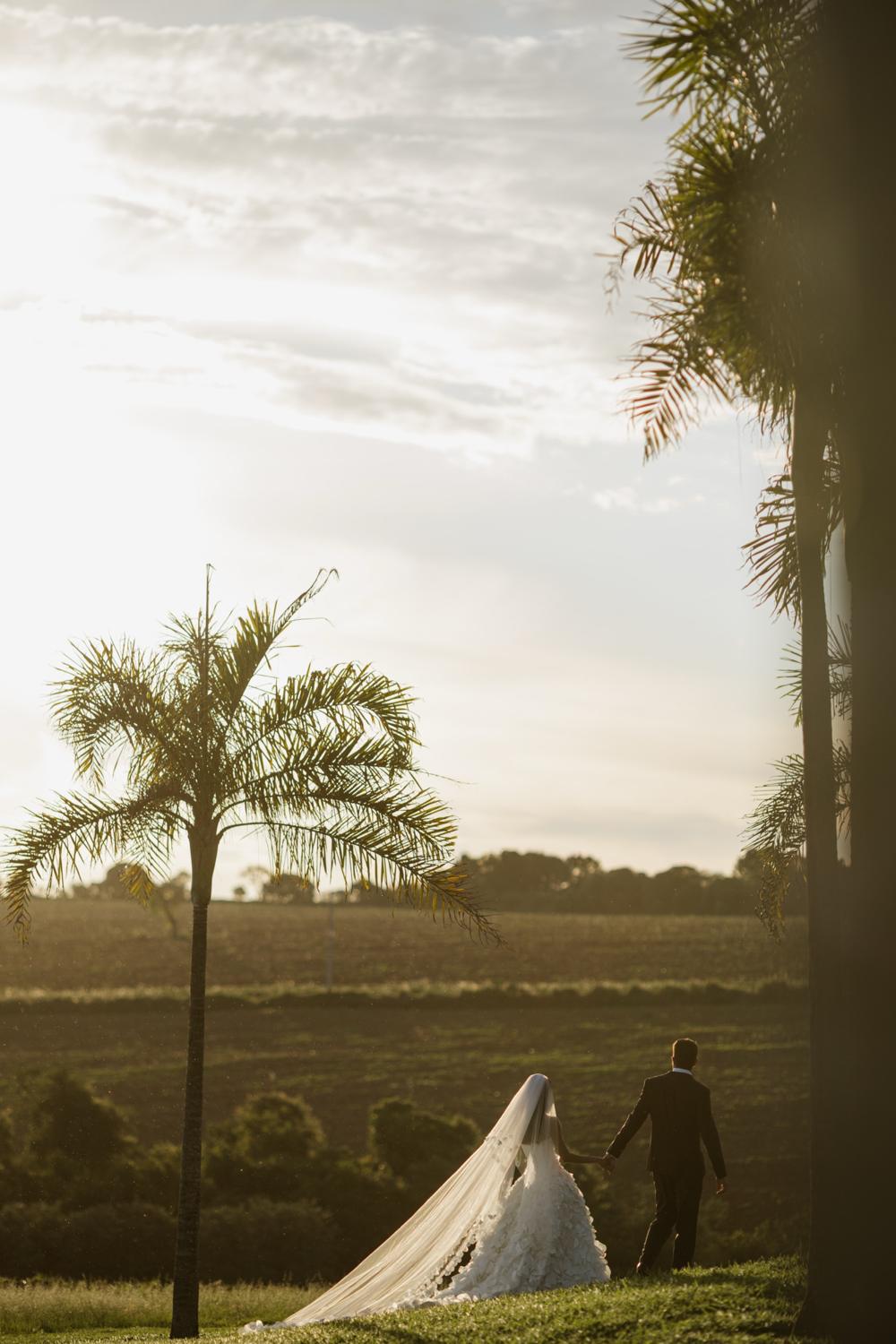 Couple walking hand in hand through the fields, among palm trees, at sunset