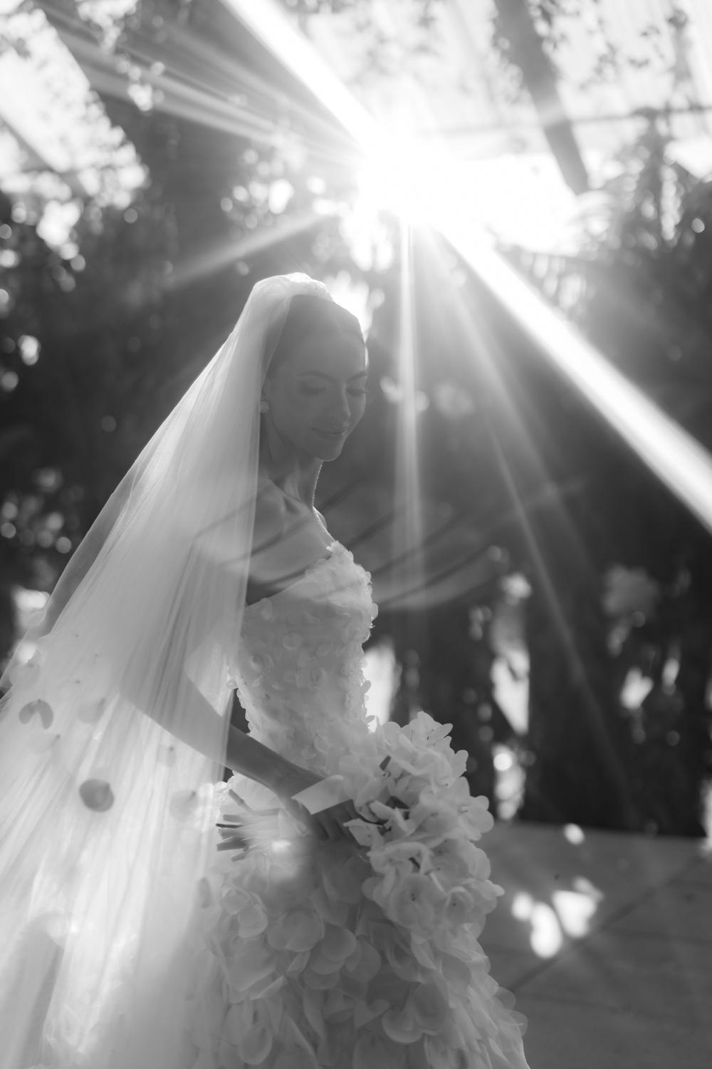 Novia con velo, en blanco y negro, con el sol atravesando los árboles detrás de ella